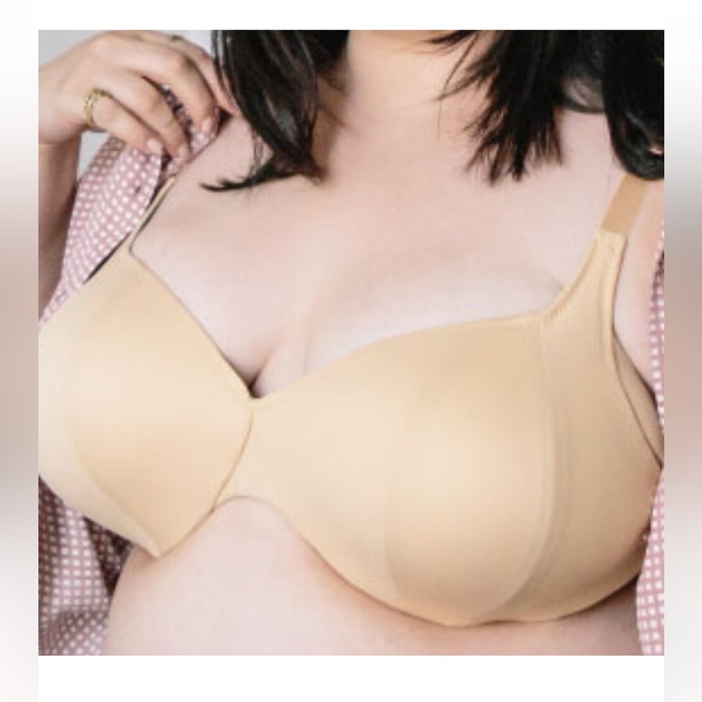 Trusst Lingerie Bra Size 42G